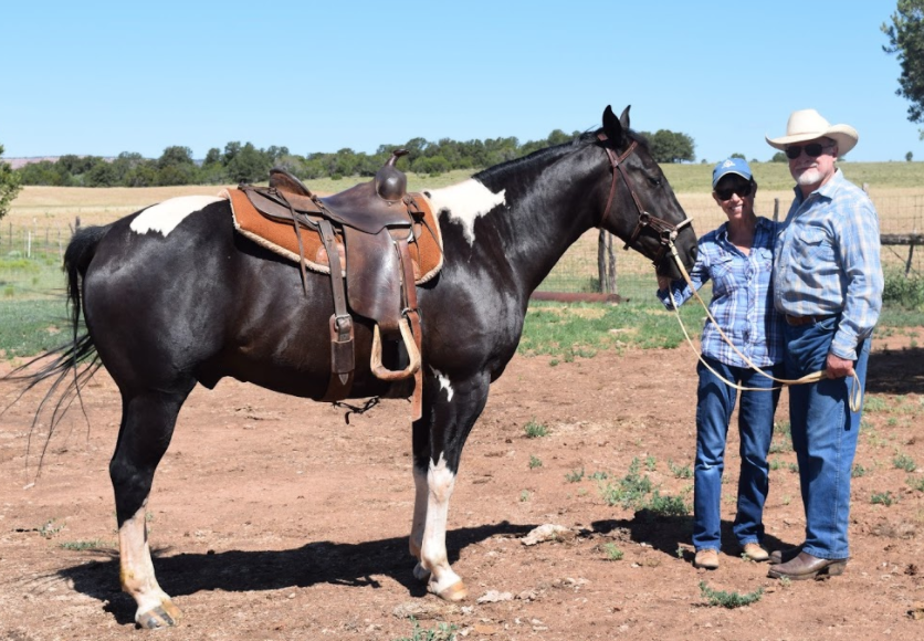 new-mexico-grassfed-beef